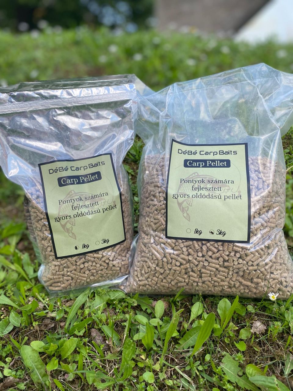 Carp Pellet